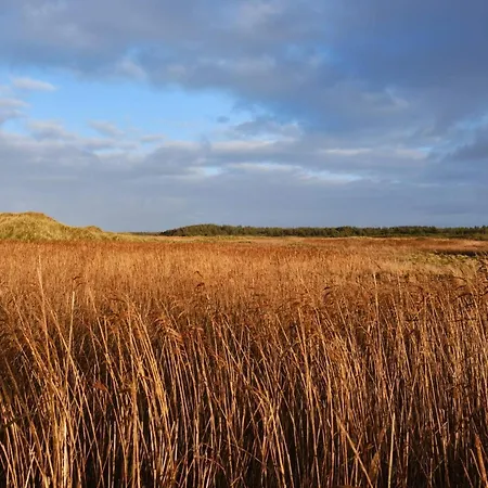 Cozy Near - By Traum Blokhus