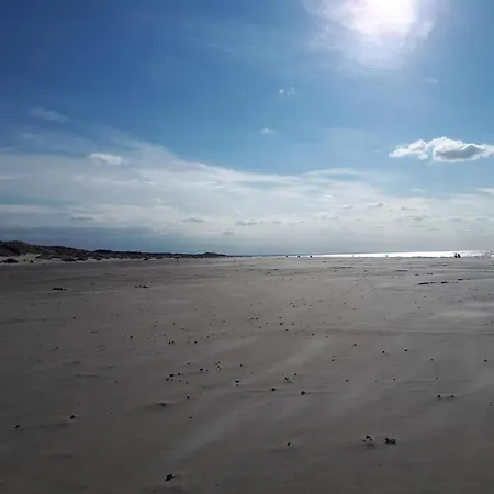 Cozy Near - By Traum *