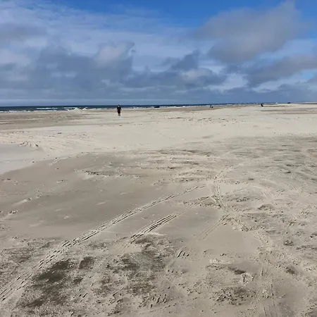 Cozy Near - By Traum