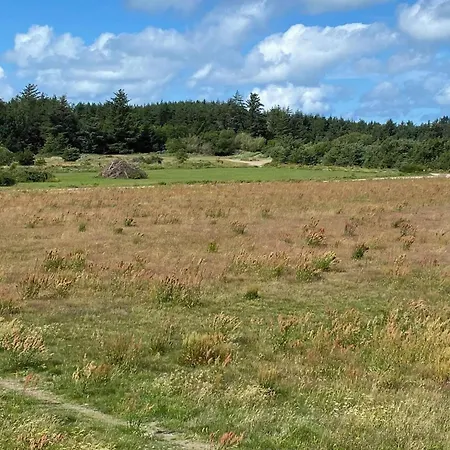 Vakantiehuis Cozy Near - By Traum Blokhus