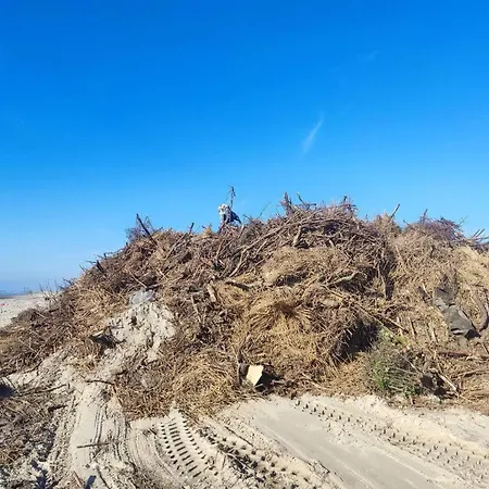 Cozy Near - By Traum