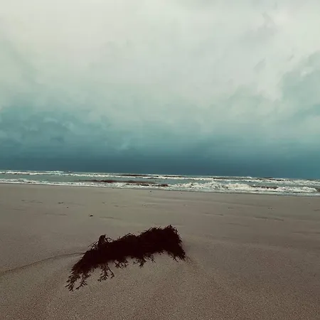 Cozy Near - By Traum Vakantiehuis *