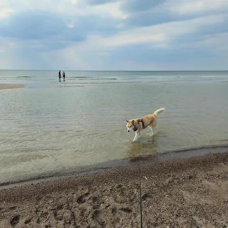 Vakantiehuis Cozy Near - By Traum Blokhus