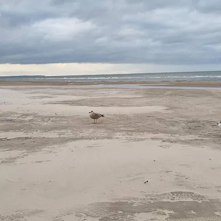 Cozy Near - By Traum Vakantiehuis